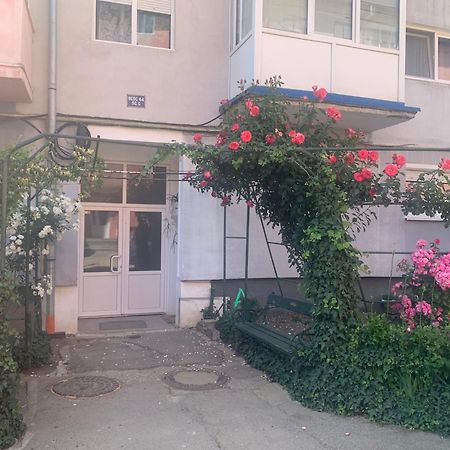 Cazare Medias, Apartament Modern 外观 照片