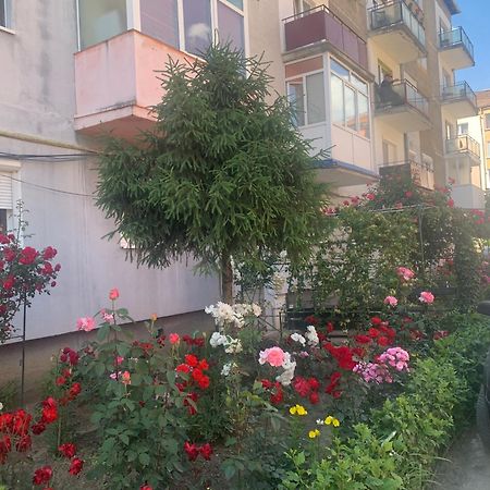 Cazare Medias, Apartament Modern 外观 照片