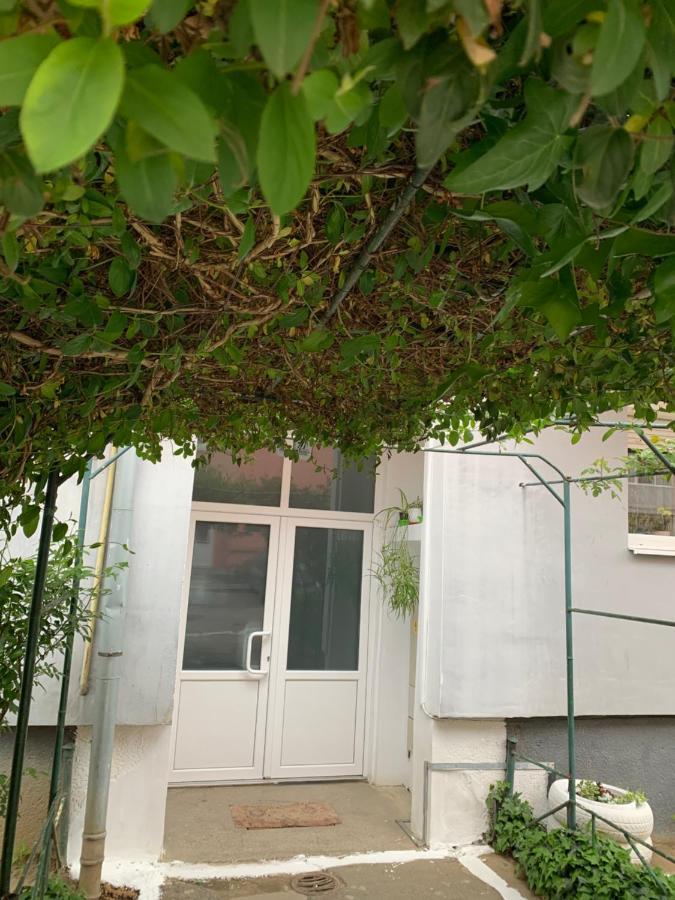 Cazare Medias, Apartament Modern 外观 照片