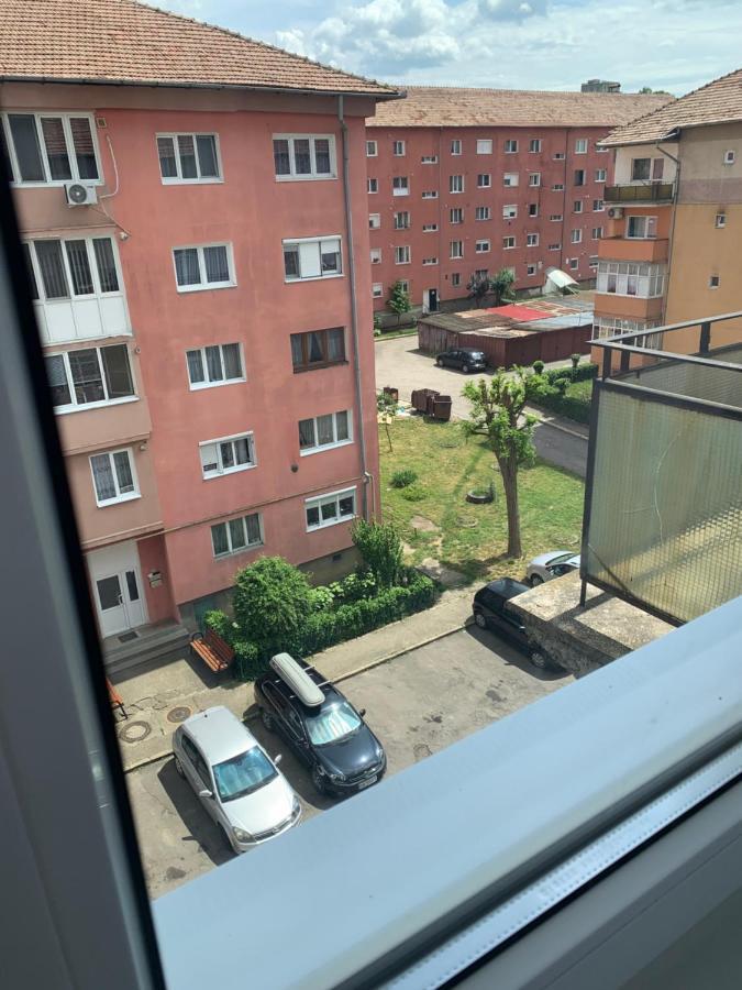 Cazare Medias, Apartament Modern 外观 照片