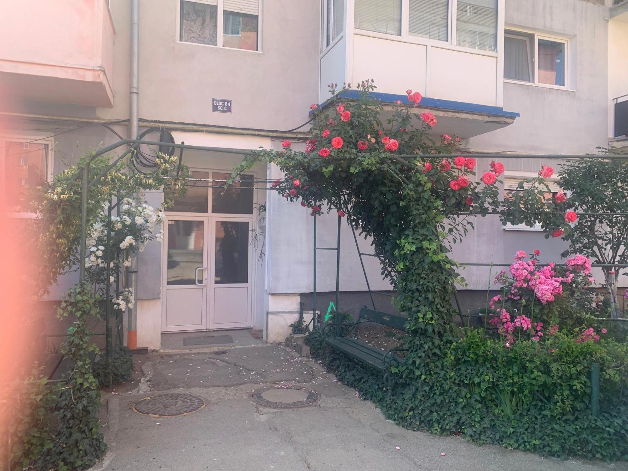 Cazare Medias, Apartament Modern 外观 照片